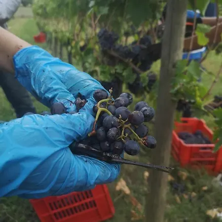 Alba Morus Sentiti A Casa Nel Cuo Alojamento de Acomodação e Pequeno-almoço