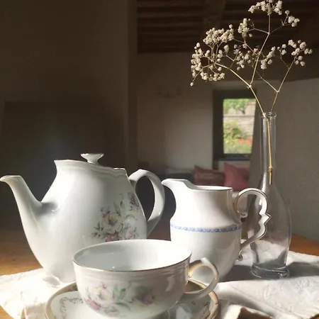Alba Morus Bed E Breakfast Sentiti A Casa Nel Cuore Della Toscana Bed & Breakfast *