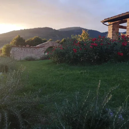 Alba Morus Bed E Breakfast Sentiti A Casa Nel Cuore Della Toscana *
