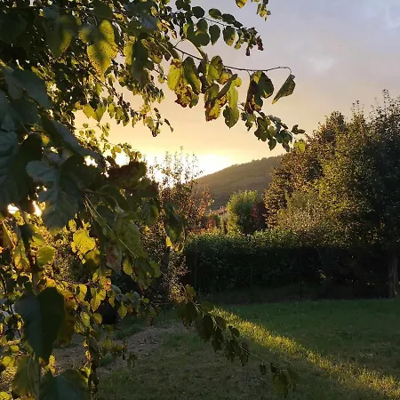 Alba Morus Sentiti A Casa Nel Cuo