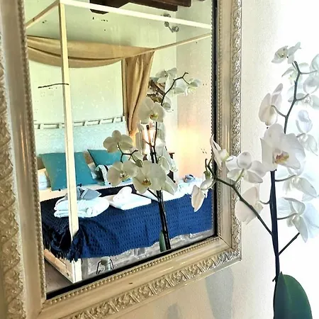Alba Morus Bed E Breakfast Sentiti A Casa Nel Cuore Della Toscana