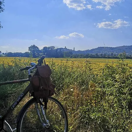 Alba Morus Bed E Breakfast Sentiti A Casa Nel Cuore Della Toscana *