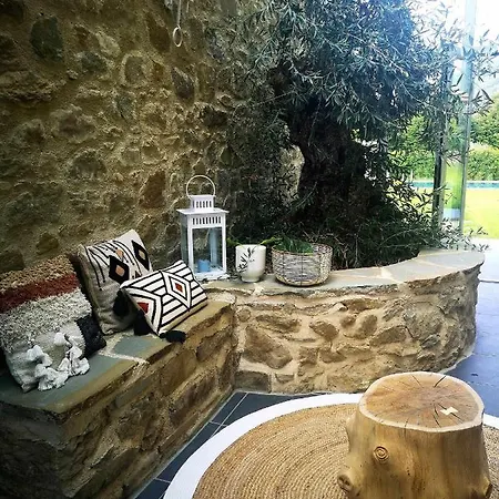Bed & Breakfast Alba Morus Bed E Breakfast Sentiti A Casa Nel Cuore Della Toscana *