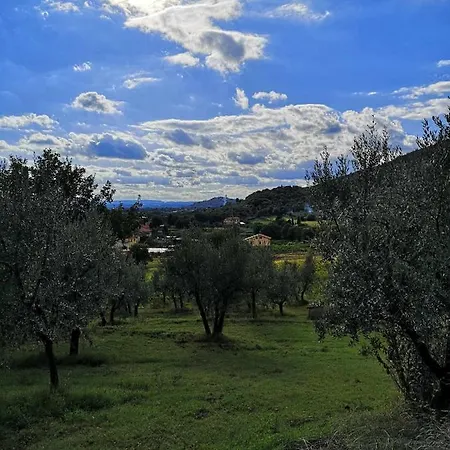 Bed & Breakfast Alba Morus Bed E Breakfast Sentiti A Casa Nel Cuore Della Toscana