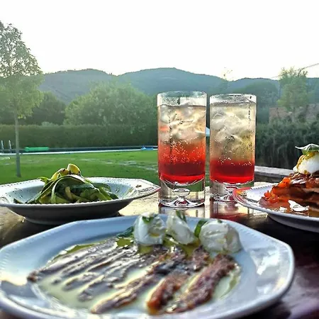 Bed & Breakfast Alba Morus Bed E Breakfast Sentiti A Casa Nel Cuore Della Toscana