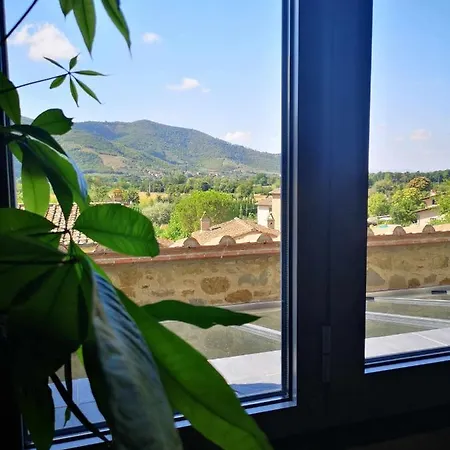Bed & Breakfast Alba Morus Bed E Breakfast Sentiti A Casa Nel Cuore Della Toscana *