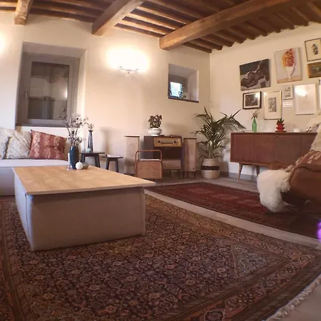 Alba Morus Sentiti A Casa Nel Cuo Arezzo