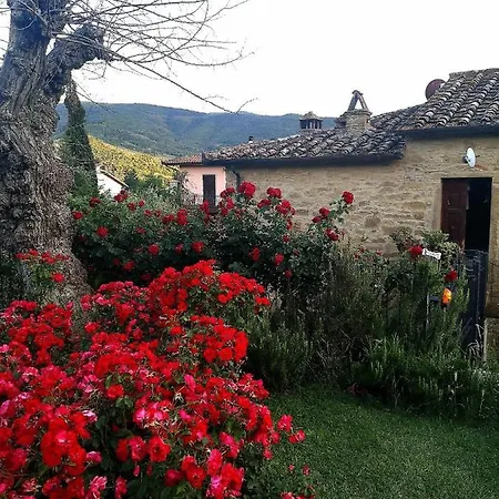 Alba Morus Bed E Breakfast Sentiti A Casa Nel Cuore Della Toscana *