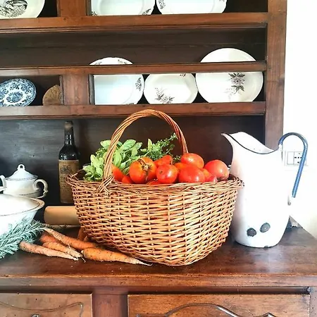 Alba Morus Bed E Breakfast Sentiti A Casa Nel Cuore Della Toscana Bed & Breakfast *