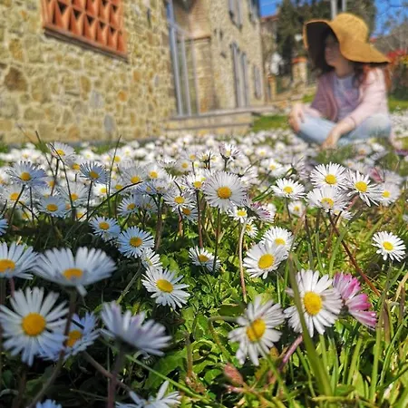 Alba Morus Bed E Breakfast Sentiti A Casa Nel Cuore Della Toscana Bed & Breakfast *