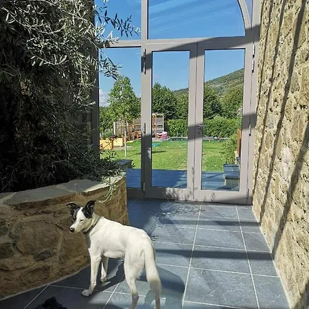 Alba Morus Sentiti A Casa Nel Cuo 4*