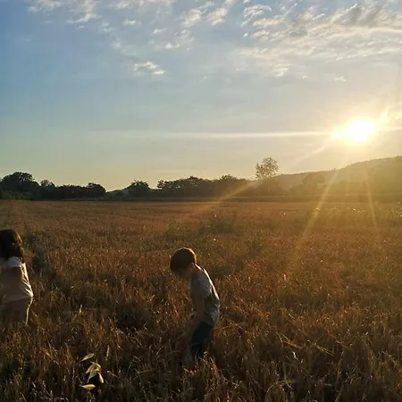 Alba Morus Sentiti A Casa Nel Cuo
