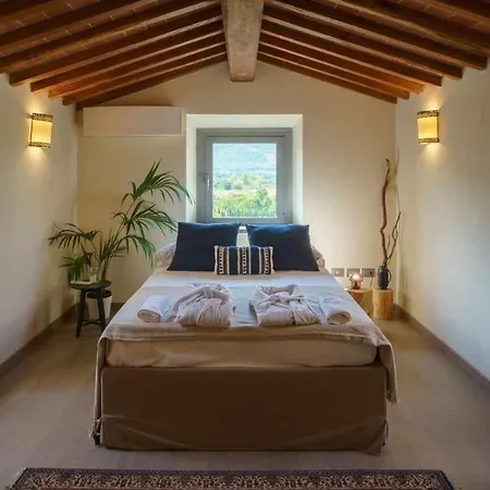 Bed & Breakfast Alba Morus Bed E Breakfast Sentiti A Casa Nel Cuore Della Toscana