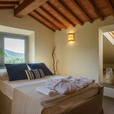 Alba Morus Bed E Breakfast Sentiti A Casa Nel Cuore Della Toscana
