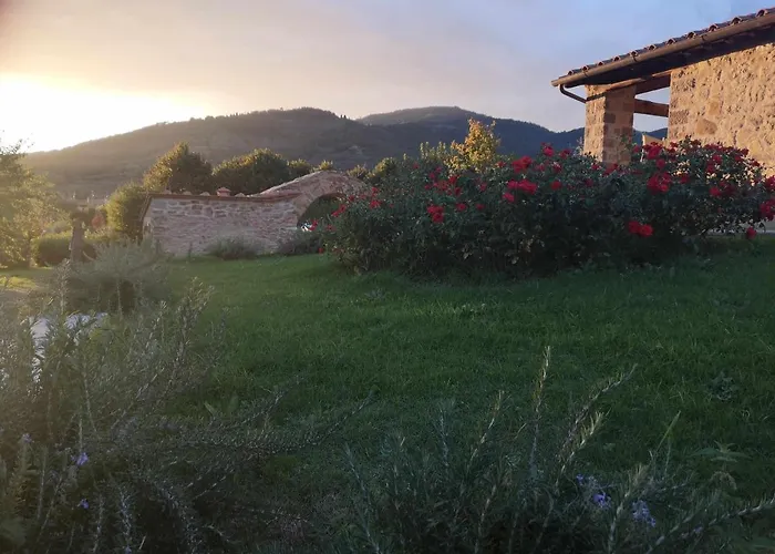 Alba Morus Bed & Breakfast, Sentiti A Casa Nel Cuore Della Toscana 4*