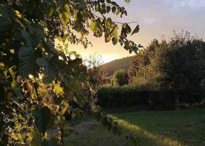 Alba Morus Bed & Breakfast, Sentiti A Casa Nel Cuore Della Toscana