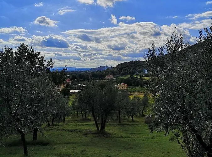 Bed & Breakfast Alba Morus Bed & Breakfast, Sentiti A Casa Nel Cuore Della Toscana