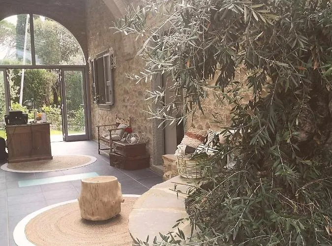 Alba Morus Bed & Breakfast, Sentiti A Casa Nel Cuore Della Toscana Bed & Breakfast