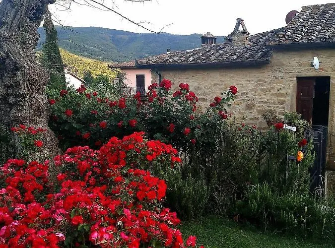 Alba Morus Bed & Breakfast, Sentiti A Casa Nel Cuore Della Toscana 4*