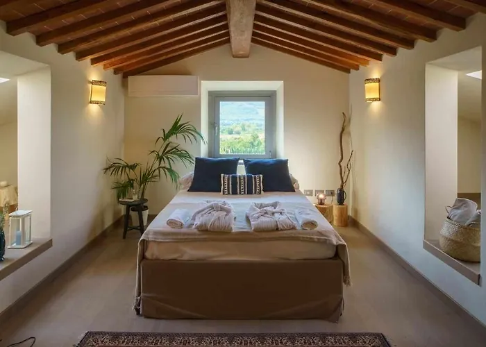 Bed & Breakfast Alba Morus Bed & Breakfast, Sentiti A Casa Nel Cuore Della Toscana